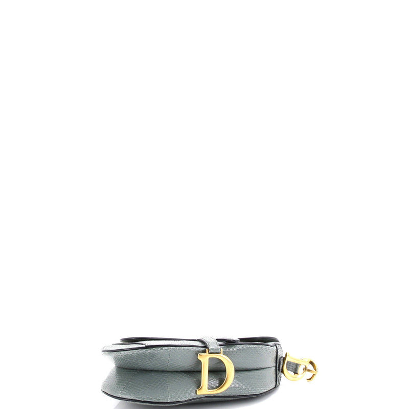Christian Dior Saddle Handbag Python