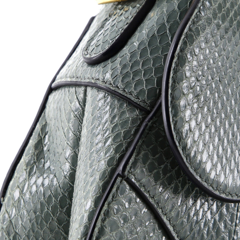 Christian Dior Saddle Handbag Python
