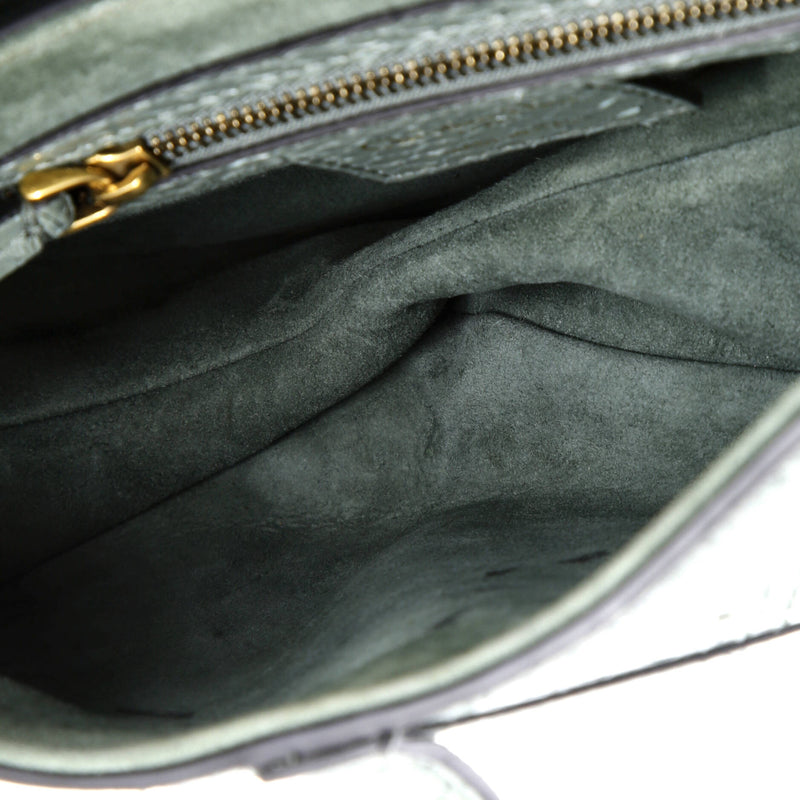 Christian Dior Saddle Handbag Python