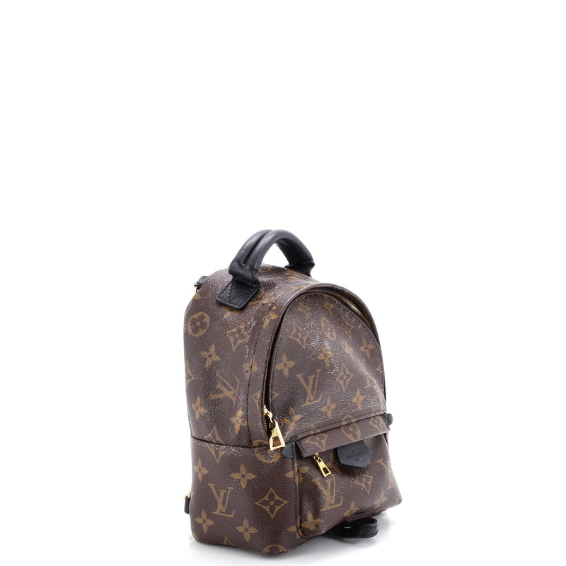 Louis Vuitton Palm Springs Backpack