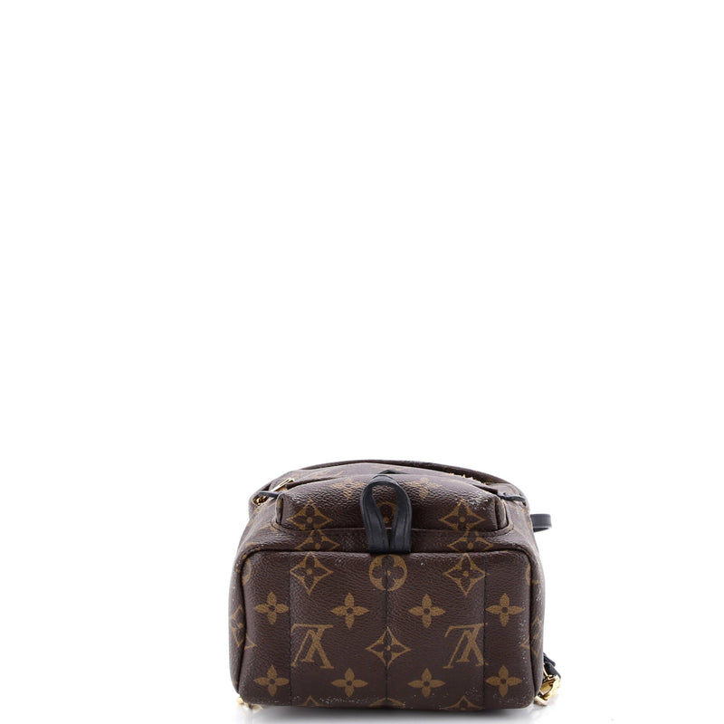 Louis Vuitton Palm Springs Backpack
