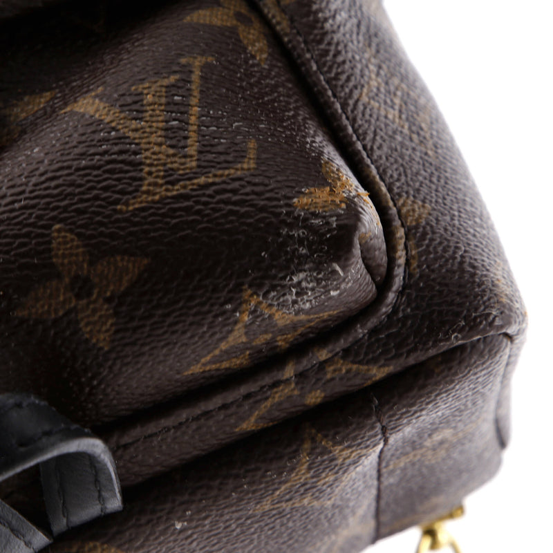 Louis Vuitton Palm Springs Backpack