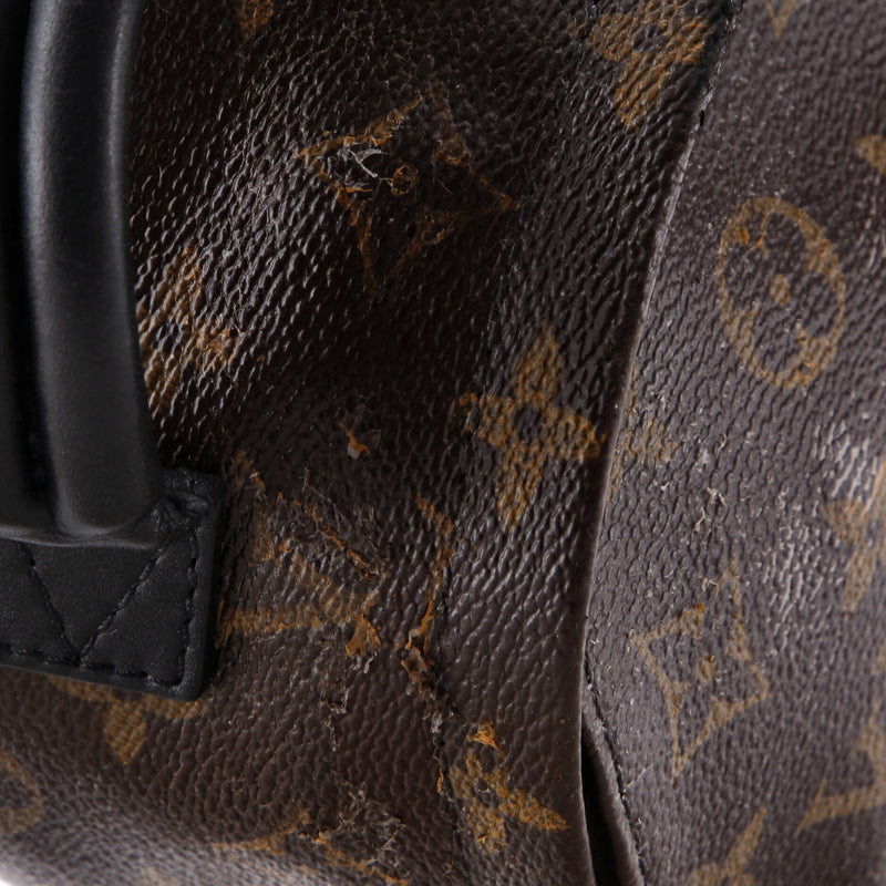 Louis Vuitton Palm Springs Backpack