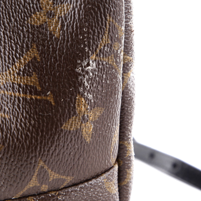 Louis Vuitton Palm Springs Backpack