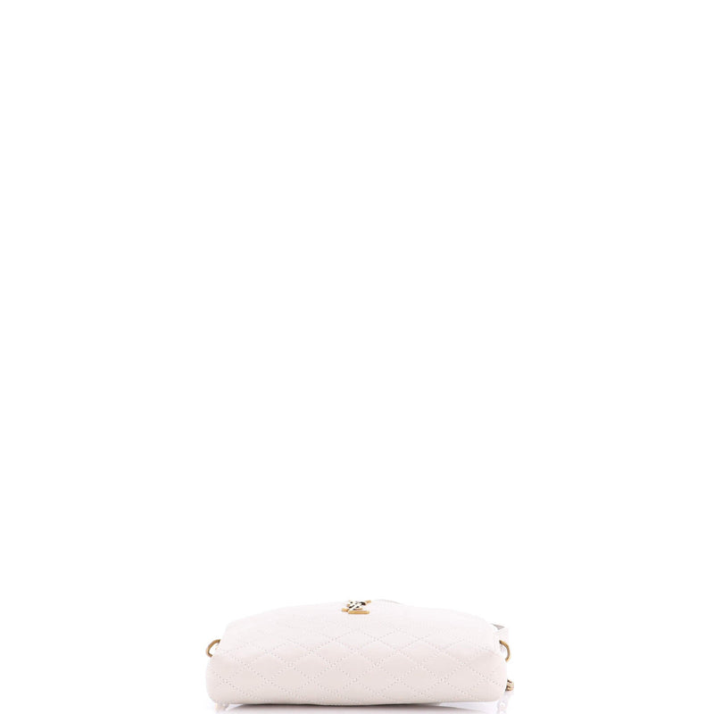 Saint Laurent Gaby Zipped Pouch