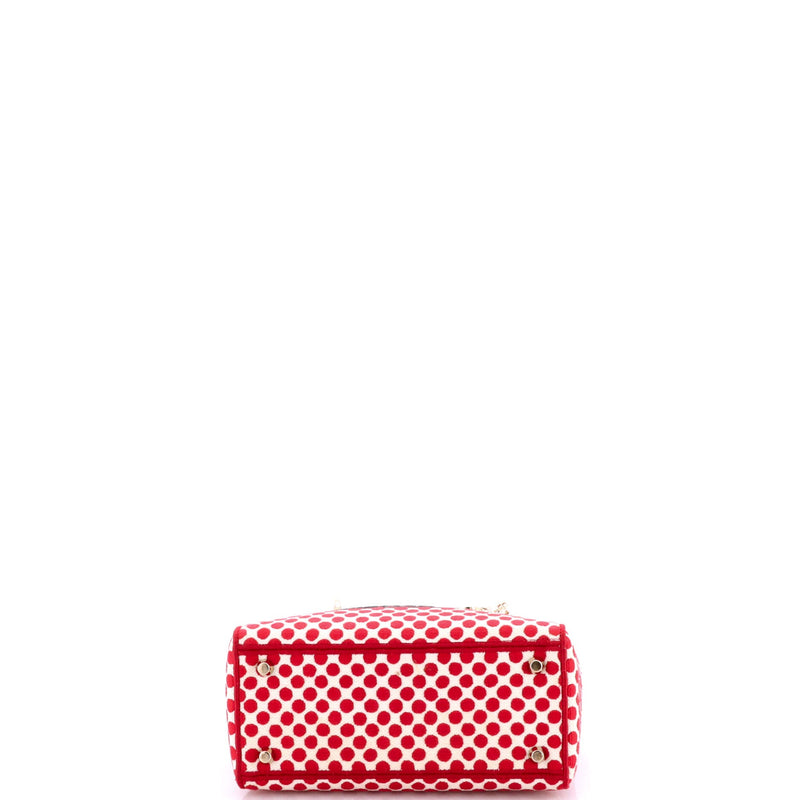 Christian Dior Dioramour Lady D-Lite Bag