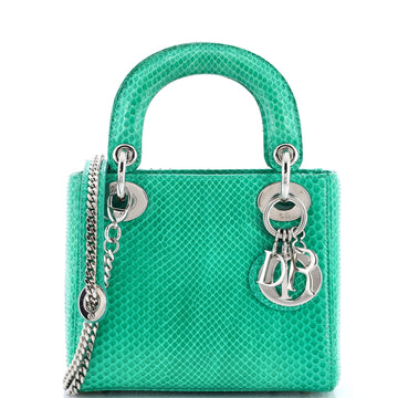Christian Dior Lady Chain Bag Python