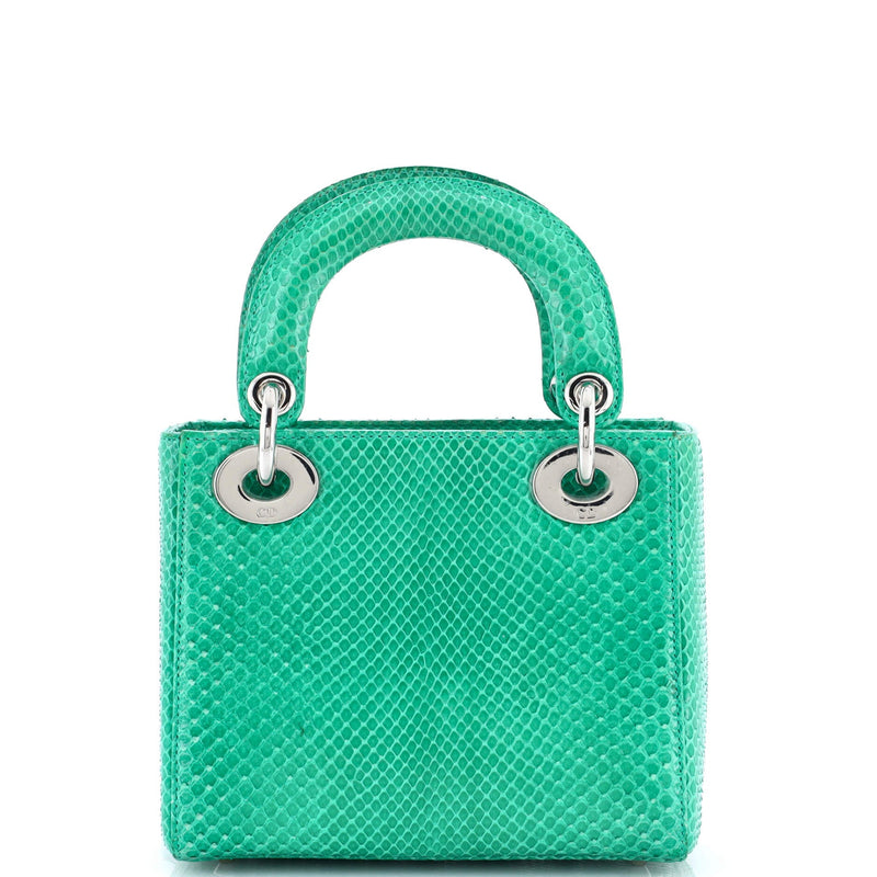 Christian Dior Lady Chain Bag Python