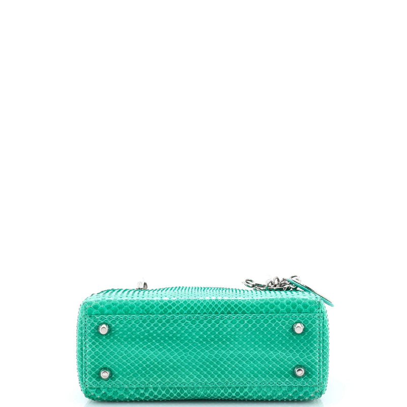 Christian Dior Lady Chain Bag Python