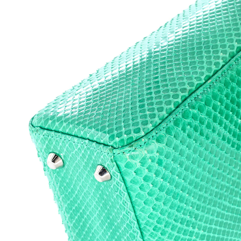 Christian Dior Lady Chain Bag Python
