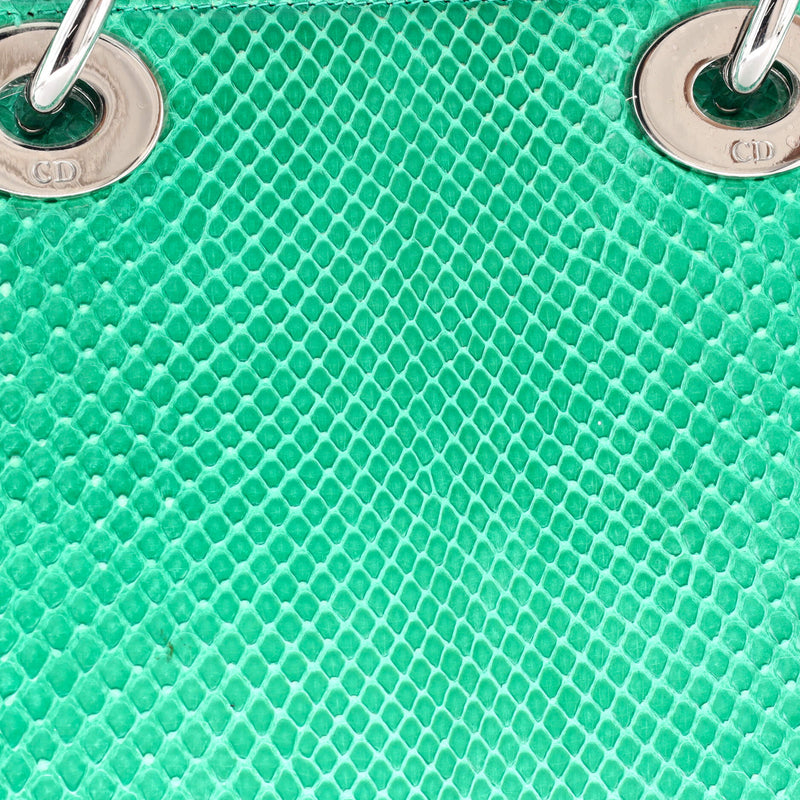 Christian Dior Lady Chain Bag Python