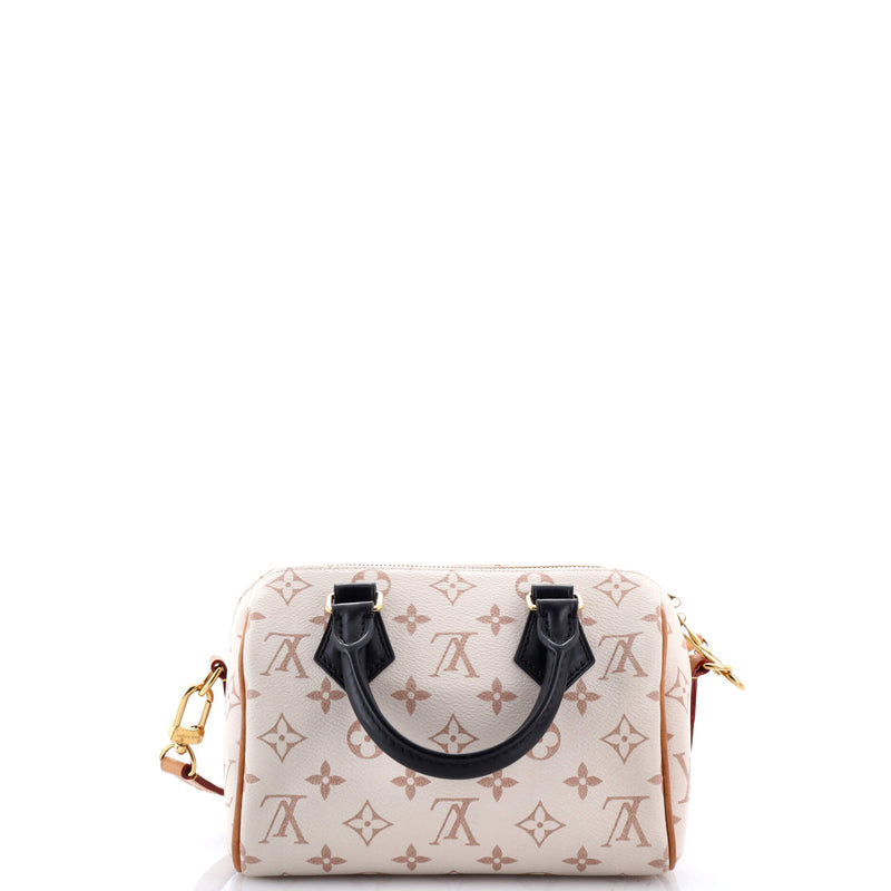 Louis Vuitton Speedy Bandouliere Bag