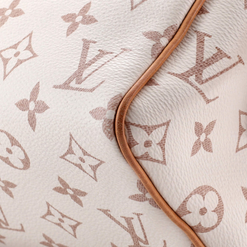 Louis Vuitton Speedy Bandouliere Bag