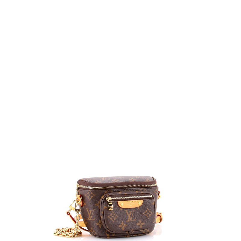 Louis Vuitton Bum Bag Canvas Mini