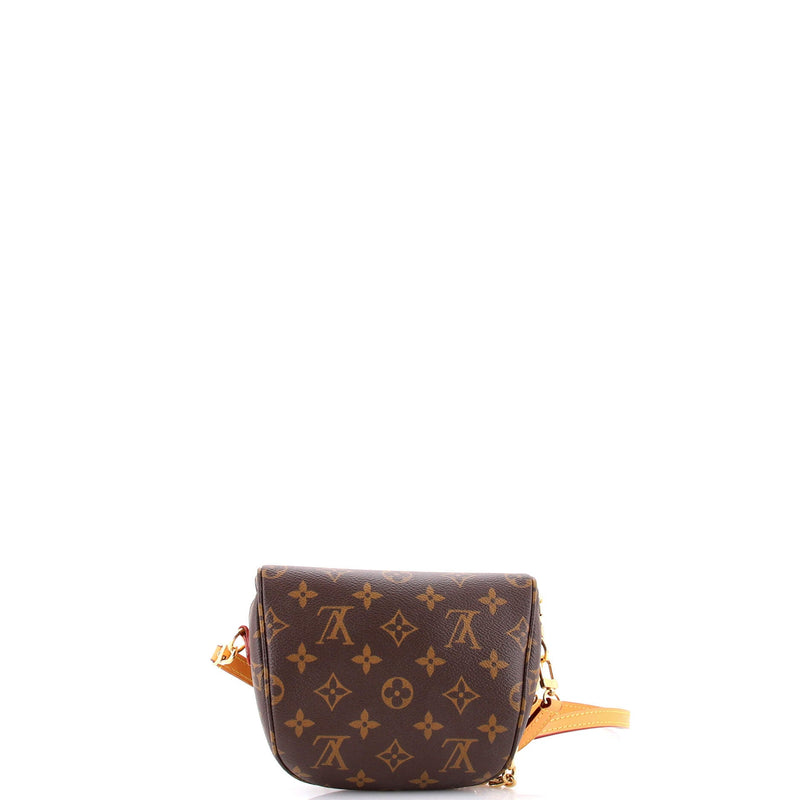Louis Vuitton Bum Bag Canvas Mini