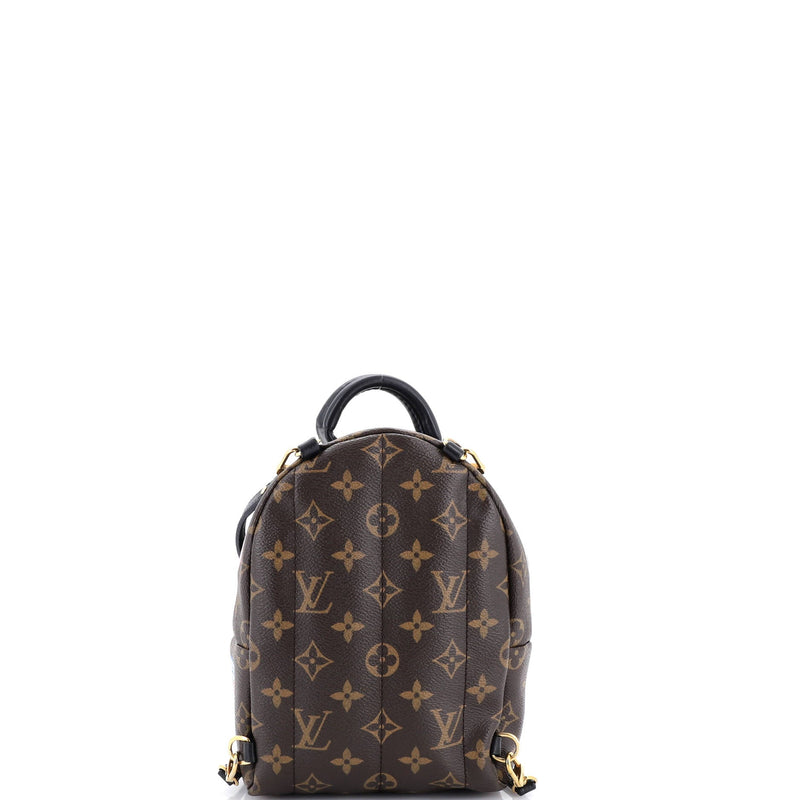 Louis Vuitton Palm Springs Backpack