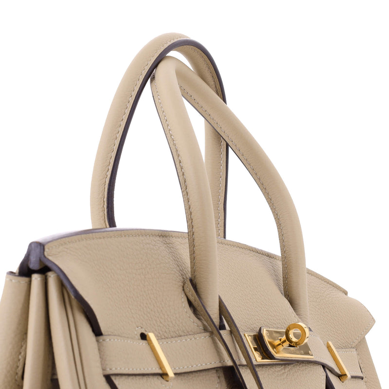 Hermes Birkin Handbag Light Togo With