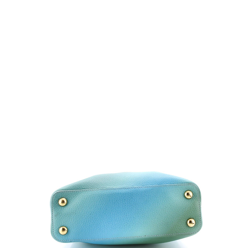 Louis Vuitton Candy Capucines Bag Ombre
