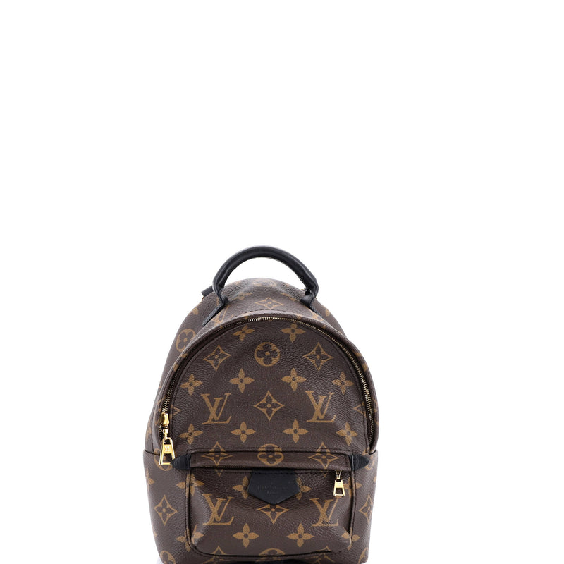 Louis Vuitton Palm Springs Backpack