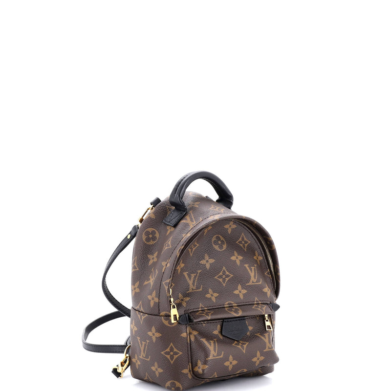 Louis Vuitton Palm Springs Backpack