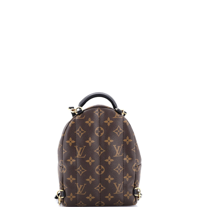Louis Vuitton Palm Springs Backpack