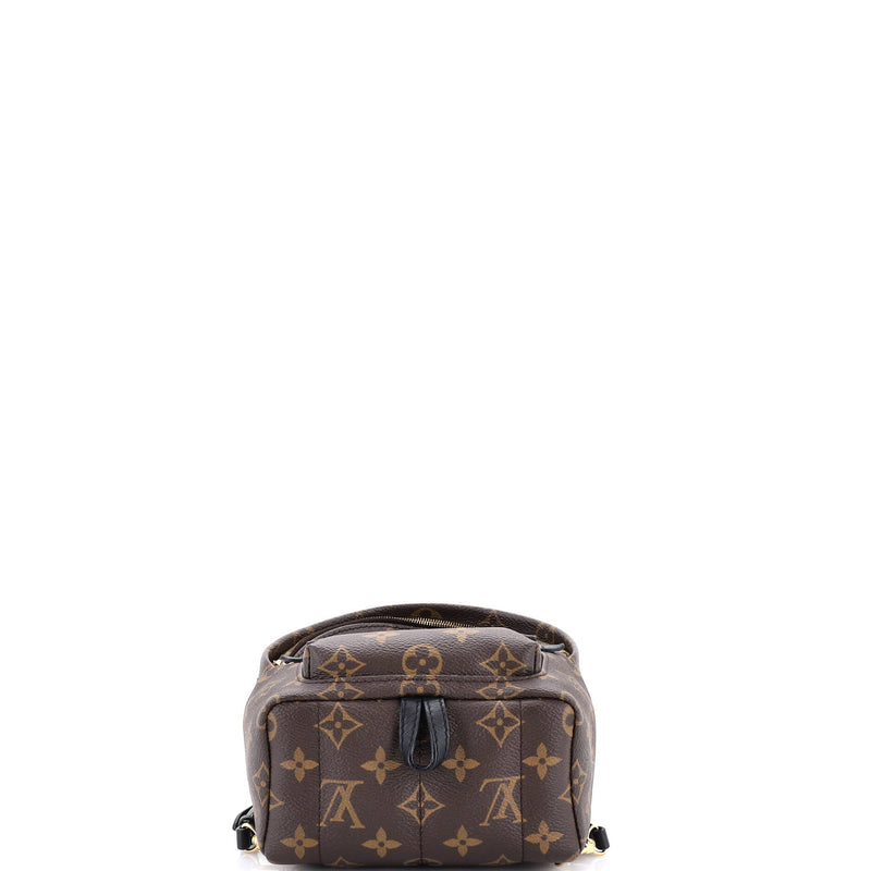 Louis Vuitton Palm Springs Backpack