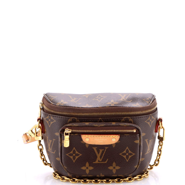Louis Vuitton Bum Bag Canvas Mini