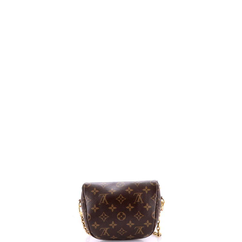 Louis Vuitton Bum Bag Canvas Mini