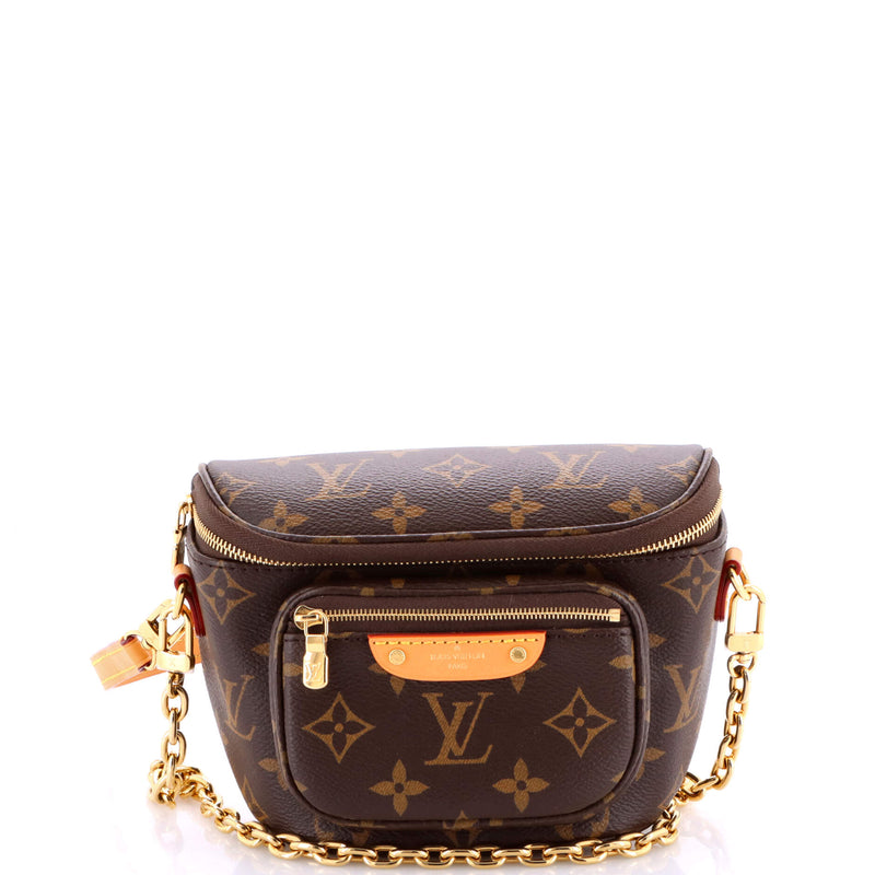 Louis Vuitton Bum Bag Canvas Mini