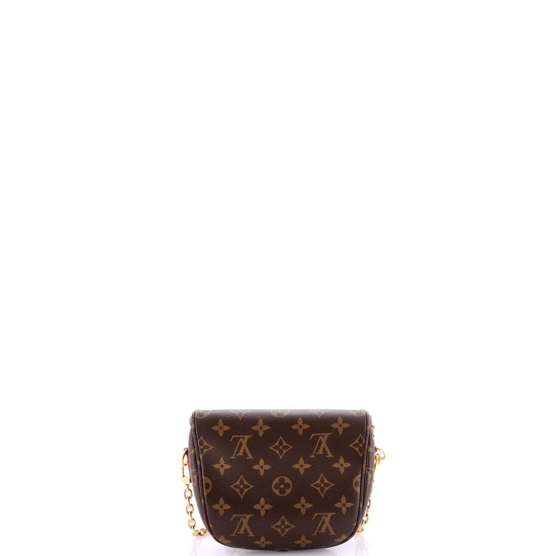 Louis Vuitton Bum Bag Canvas Mini