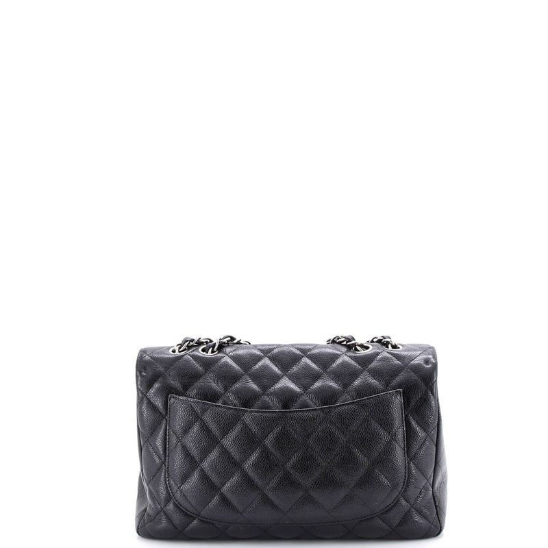 Chanel Classic Single Flap Bag Quilted