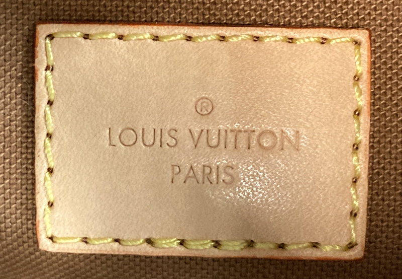Louis Vuitton Multi Pochette Accessoires
