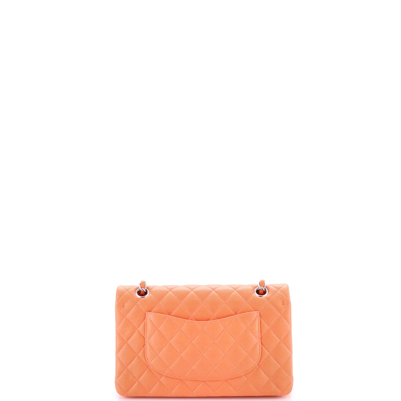 Chanel Classic Double Flap Bag Quilted