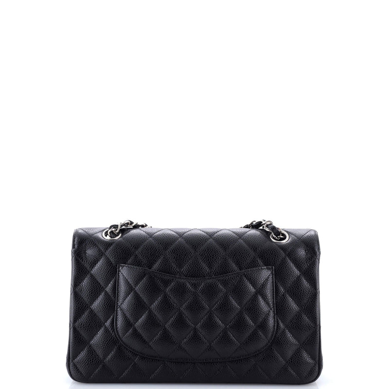 Chanel Classic Double Flap Bag Quilted