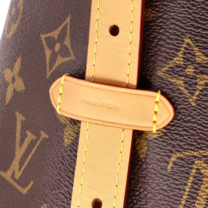 Louis Vuitton Carryall Hobo Canvas Pm