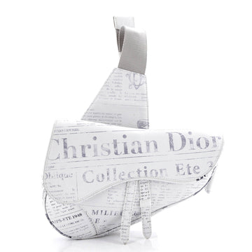 Christian Dior Daniel Arsham Saddle