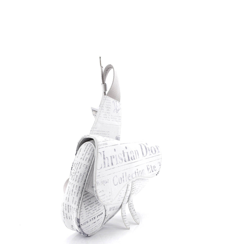 Christian Dior Daniel Arsham Saddle