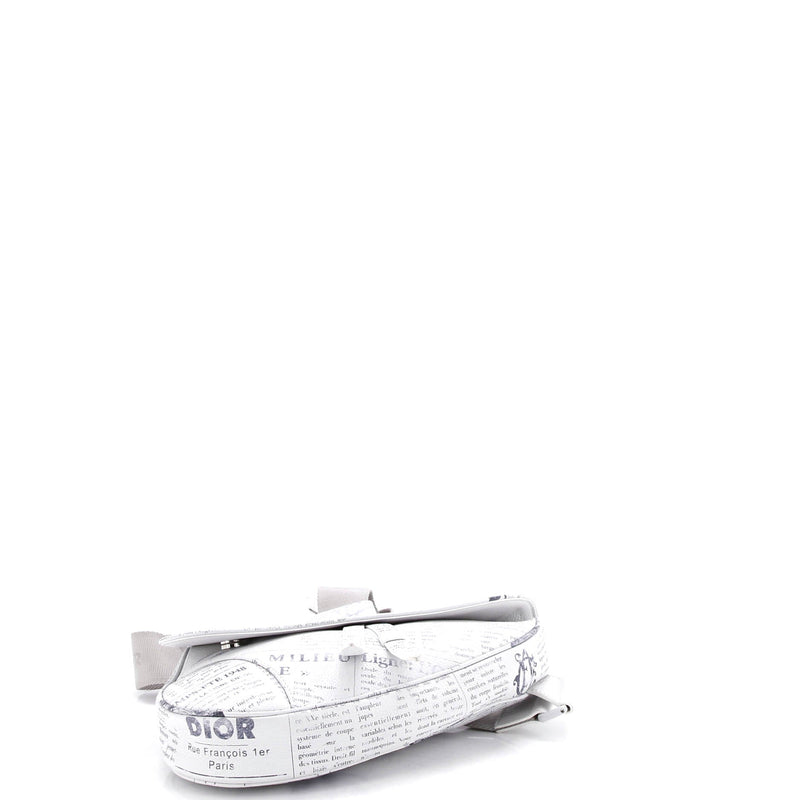 Christian Dior Daniel Arsham Saddle