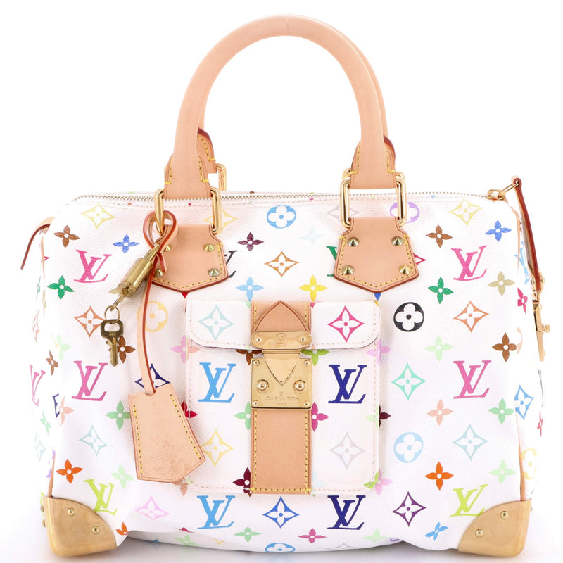 Louis Vuitton Speedy Handbag Multicolor