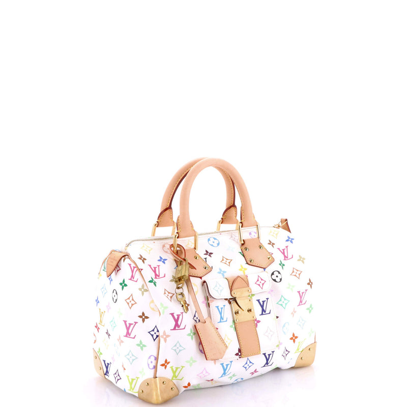 Louis Vuitton Speedy Handbag Multicolor