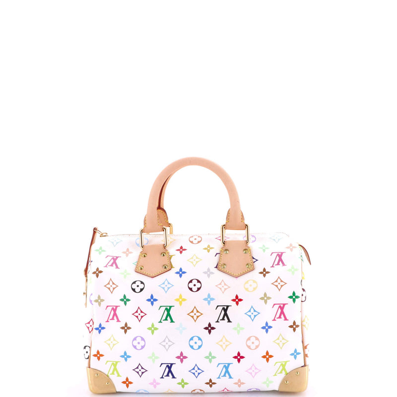 Louis Vuitton Speedy Handbag Multicolor
