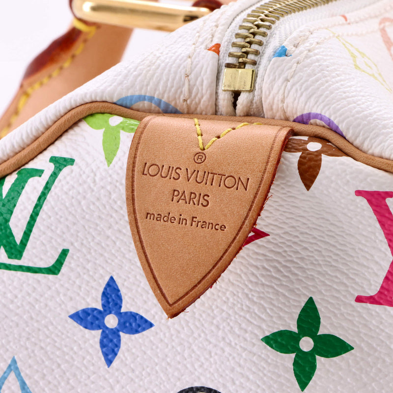 Louis Vuitton Speedy Handbag Multicolor