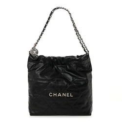 Chanel Shiny Calfskin Quilted Small 22