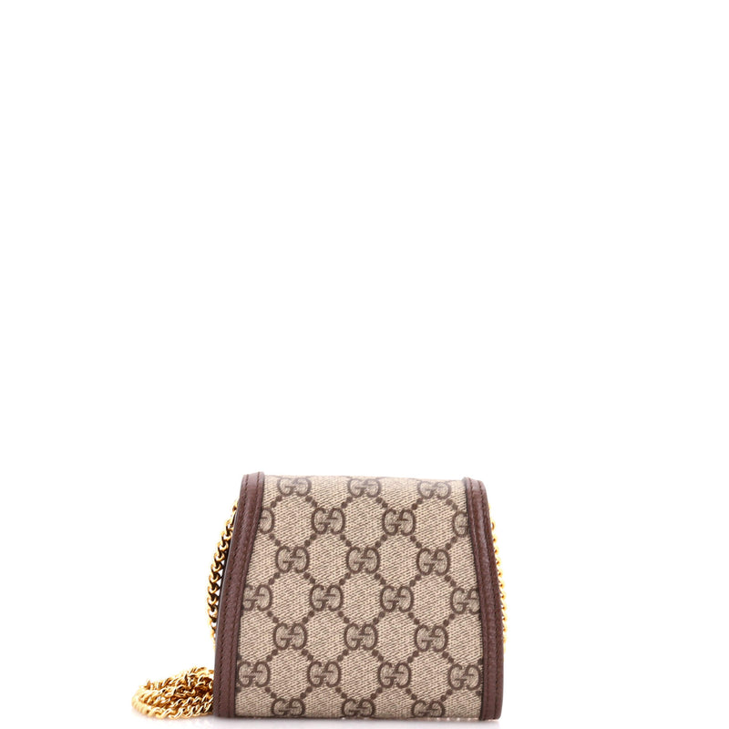 Blondie Nm Wallet On Chain Gg Coated