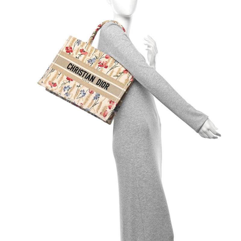 Christian Dior Canvas Embroidered Medium