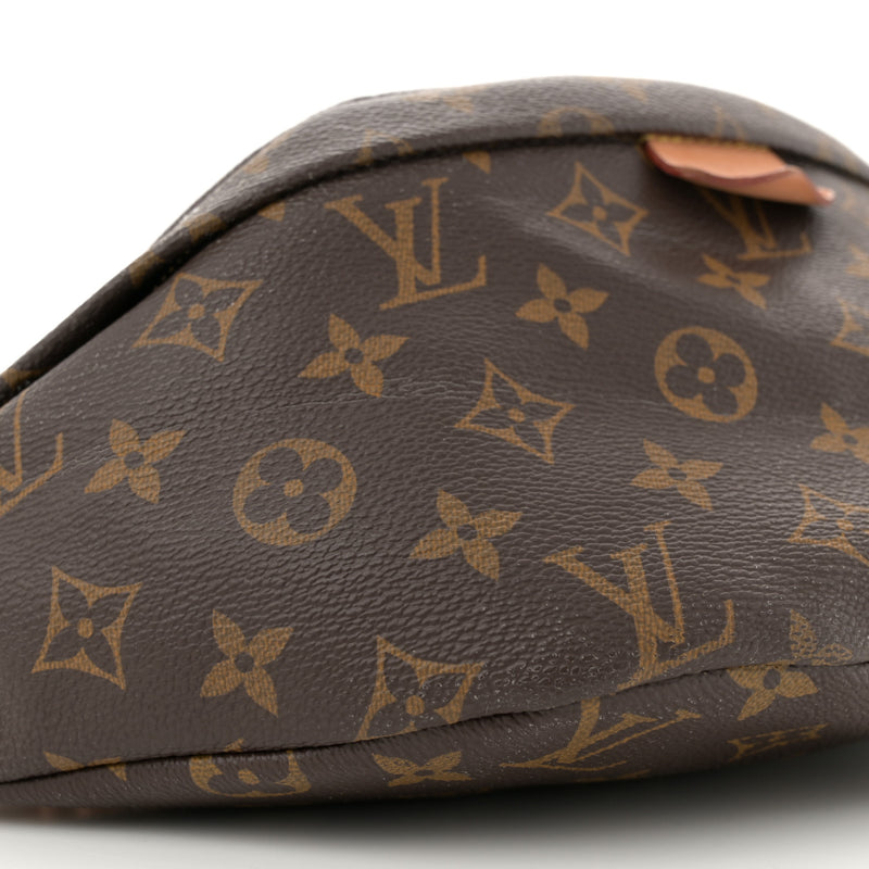 Louis Vuitton Bumbag