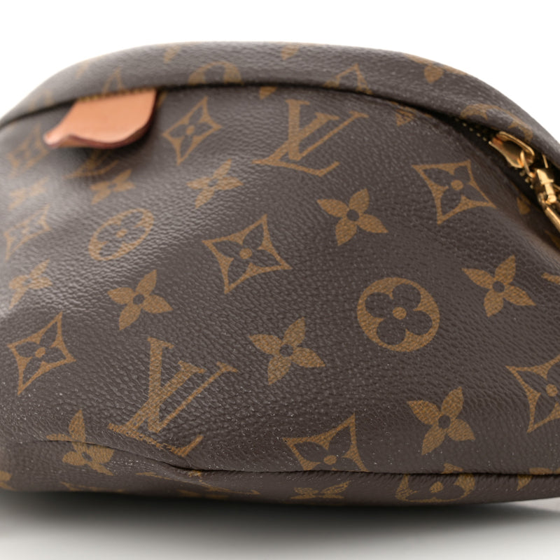 Louis Vuitton Bumbag