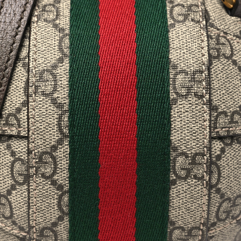 Gucci Gg Supreme Textured Dollar