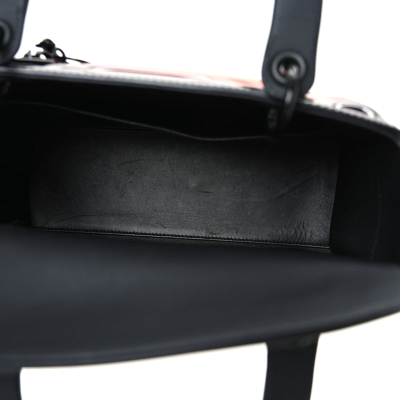 Christian Dior Ultra Matte Calfskin Pvc