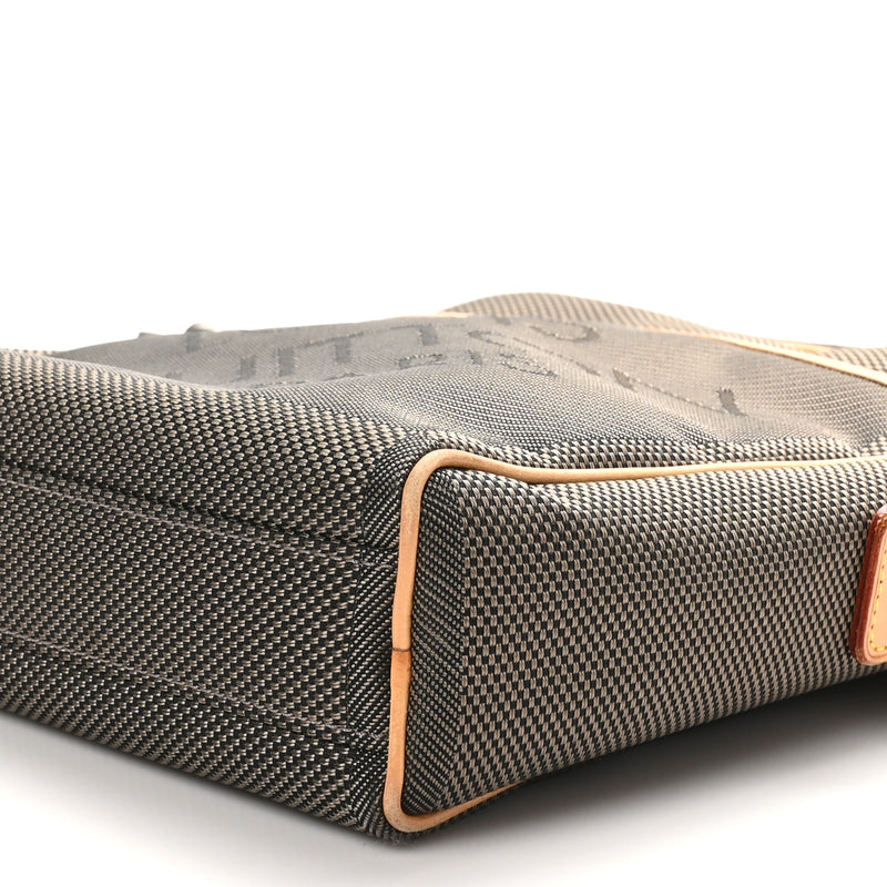 Louis Vuitton Damier Geant Citadin Nm